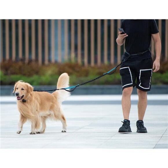 Hands Free Dog Leash Waist Belt Bungee Pouch Large Pet Running Walking Black - Picture 6 of 7